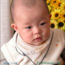 진우수지 이미지