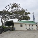 한림읍 월령리마을 이미지