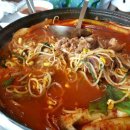 낙원볼태기 이미지