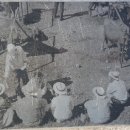 북평우시장 이미지