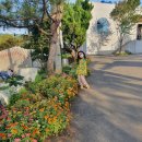 캠핑 라운드 이미지