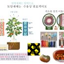 원리를 통해서 고품질 착색원리 터득하기 PPT파일과 동영상 이미지