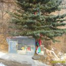 월문6리 이미지