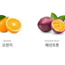 아술(AZUL) 이미지