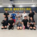 골드레슬링 이미지