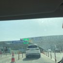 엔비랩스 | 일산, 2024 서울펫쇼 킨텍스 후기