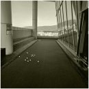 미소골프아카데미 이미지