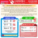 (주)신세계여행사 이미지