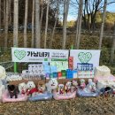 노노펫 | 네이버 반려동물인플루언서 모임 뉴 가낳네키 펫인플루언서 3rd 정모