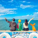 시흥시가족센터 공중화장실 | 경기도 시흥 가볼만한곳 거북섬 데이트 여행코스 웨이브엠호텔 이스트