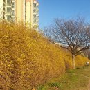 금호강변 이미지