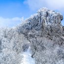 소백산 겨울산행 - 황홀한 눈꽃의 향연 이미지