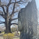 한재초교석불상 이미지