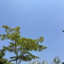 오이삼계탕 - 파주시 당동1로 39-45 | 점심시간에 약주 한 잔, 인천 송도 직장인 맛집 오이삼계탕 혼밥후기