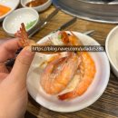 영산포가는길