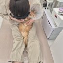 나비살롱 이미지