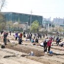 친환경나눔텃밭 이미지