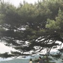 미랑목장 네이버블로그