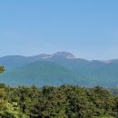 항몽유적지 이미지