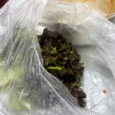 흥신로 | 서울 근교 드라이브 김포 맛집 꼬꼬오리주물럭 주말 웨이팅 가격 솔직후기