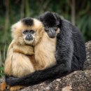 ACE컨설팅&행정사사무소 이미지