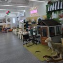 힘찬동물병원 | [후기/의정부 키즈카페] 고산동 실내놀이터 : ' 큐리키즈카페 '