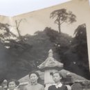 광탄중학교 이미지