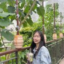 탑그린세탁 이미지