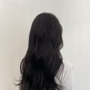 쟝피엘