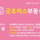 누리공인중개사사무소 이미지