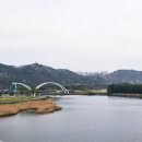 태화십리대숲먹거리단지 | 260403 울산 중구 걷기 좋은 벚꽃 명소 삼호교에서 태화강국가정원 돌아 태화루까지 벚꽃 현황