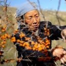 (주)비타민나무 이미지