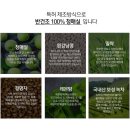 프롬안스