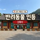 신원사 | 애견동반 가능한 사찰 계룡산 신원사 반려동물 인등 후기