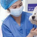 미래동물병원(산업동물진료) 이미지