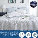 코지네스트 이미지