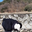 운선농장 네이버블로그