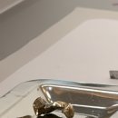 인플란트치과의원 | [성남] 더신중한치과의원 ~리얼 내돈내산~ 30대 임플란트 후기 ^^ㅑ갈 금이빨 파는법 이찬원