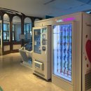 호텔오션(Ocean) | [강릉] 강릉 세인트존스 호텔 고저스 파셜 오션뷰 트윈룸 (Gorgeous Partial Ocean) 후기