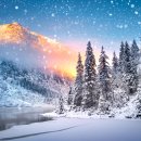 생활영어 기초회화 이미지