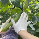 수광농장 이미지