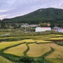 신풍마을회관 이미지