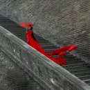 남악신도시에너지 | 중국3성여행 20~21일차(2025.11.5~6일)