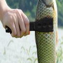 낚시 - 강릉시 율곡로 2932 | 낚시
