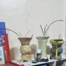 준카클리닉 이미지