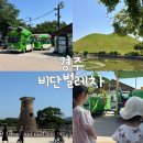 월성체육시설 | 경주 아이랑 여행 비단벌레차 예약방법 시간 주차장 후기