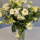 자유시장 | 부산 꽃시장 자유시장 생화구매 버터플라이 거베라 구매후기