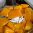 발코니가든 | 서울 홍대 애플 망고 빙수 맛집 발코니가든 내돈내산 후기