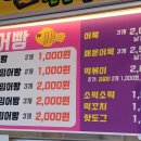 금빛잉어 이미지