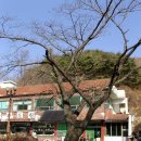 사기점 이미지